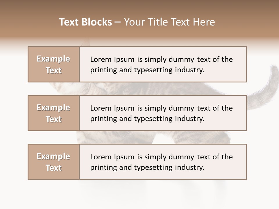 British Toddler Whiskers PowerPoint Template
