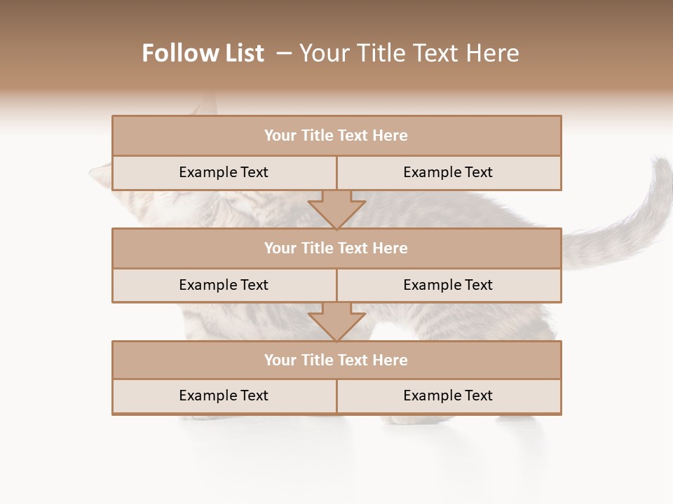 British Toddler Whiskers PowerPoint Template
