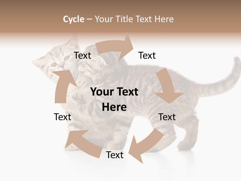 British Toddler Whiskers PowerPoint Template