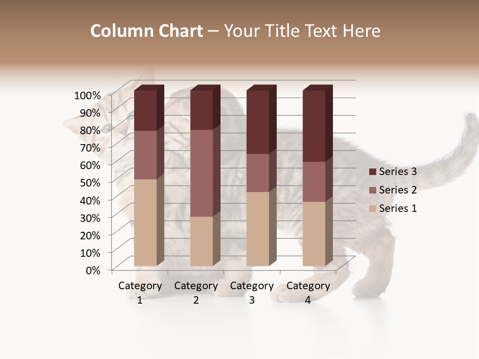 British Toddler Whiskers PowerPoint Template