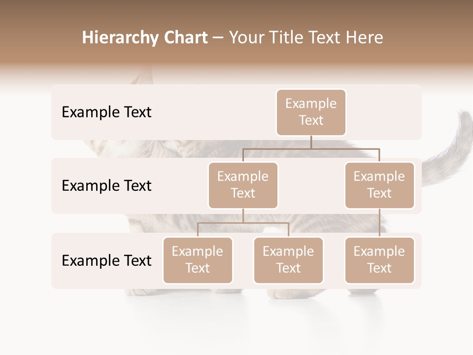 British Toddler Whiskers PowerPoint Template