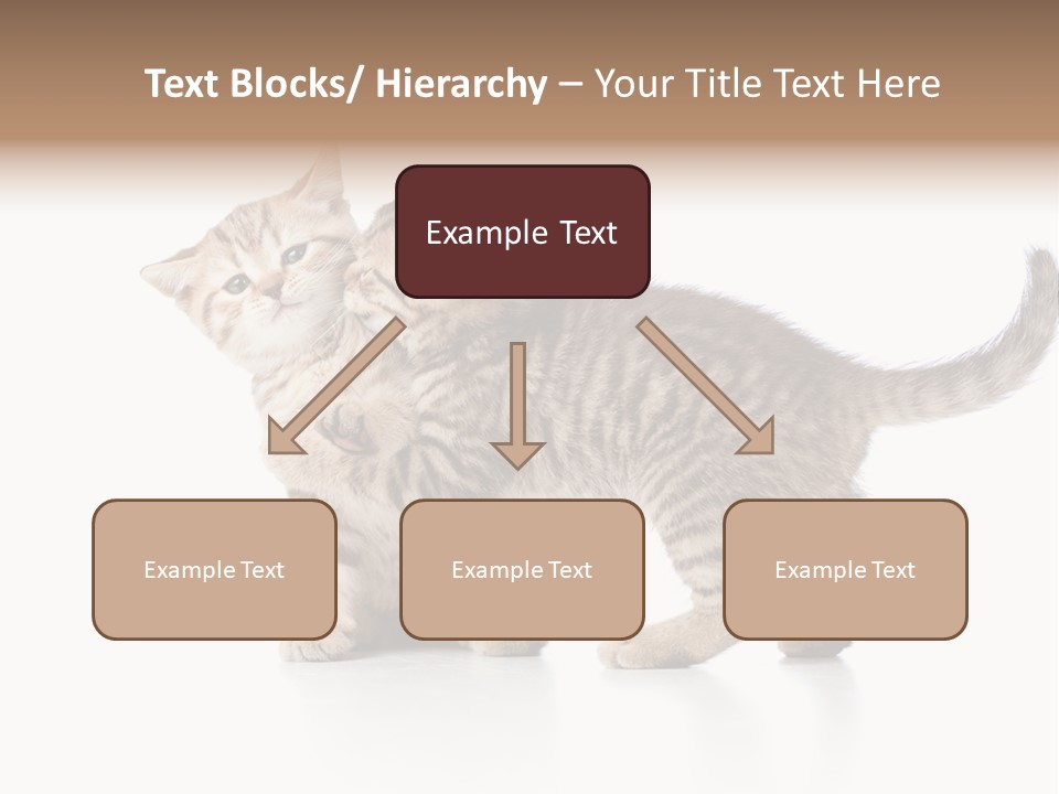 British Toddler Whiskers PowerPoint Template