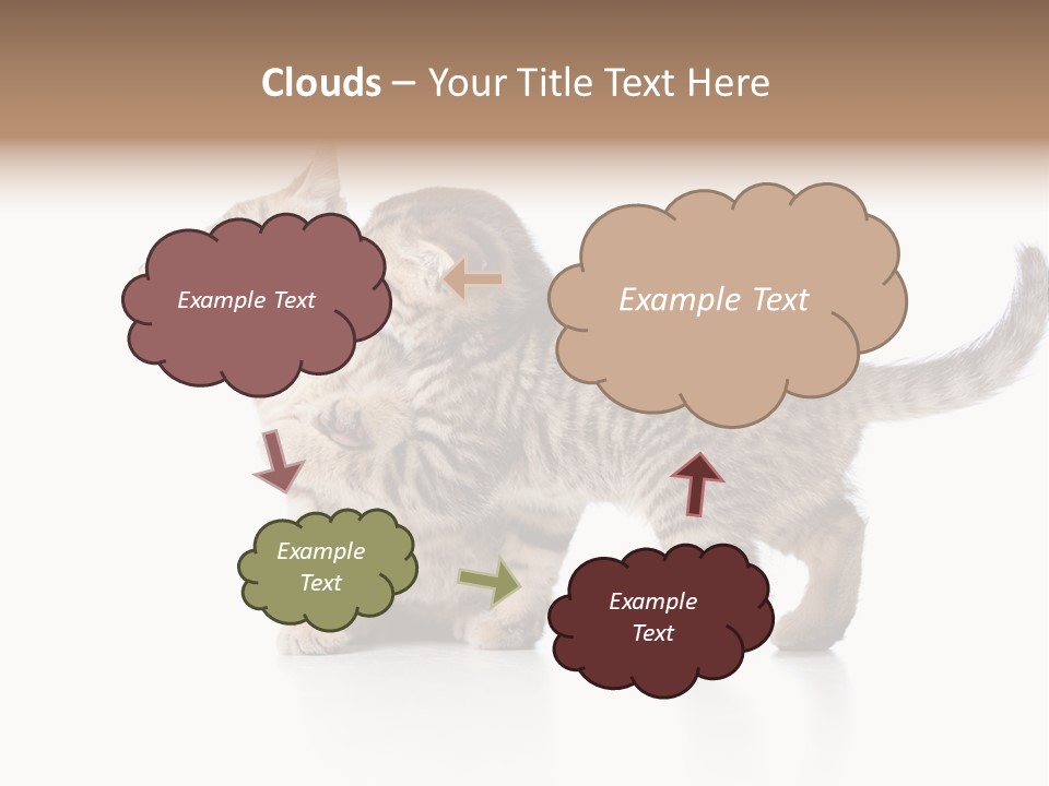British Toddler Whiskers PowerPoint Template