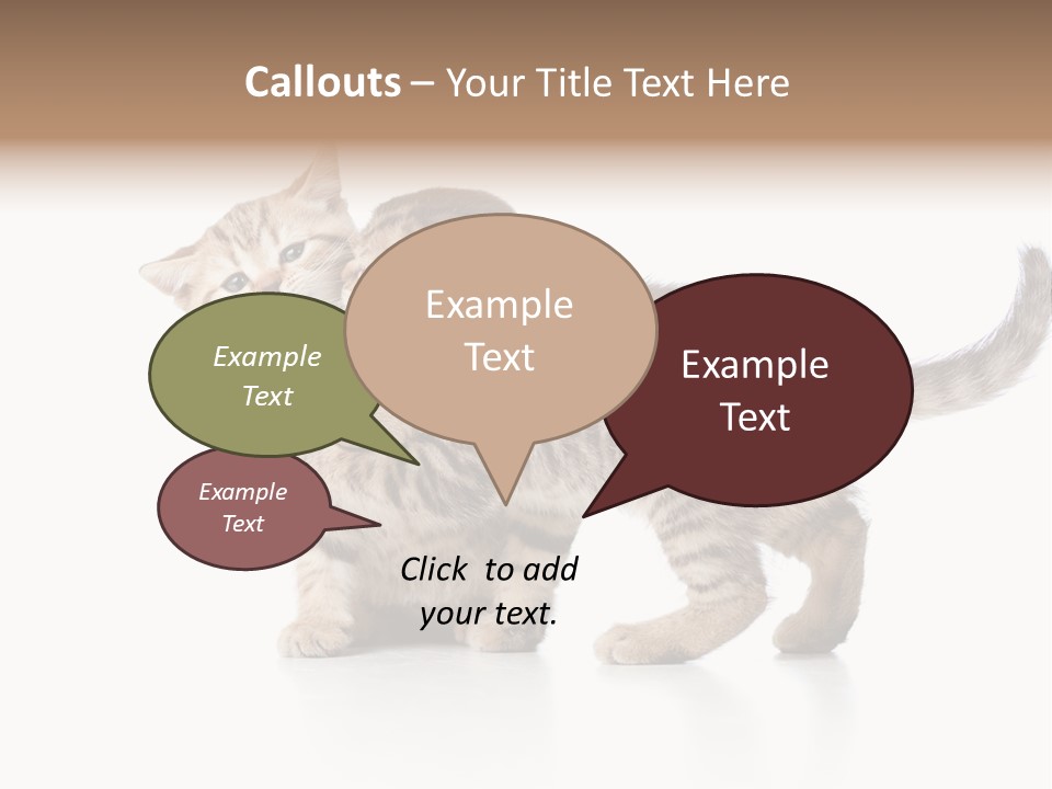 British Toddler Whiskers PowerPoint Template