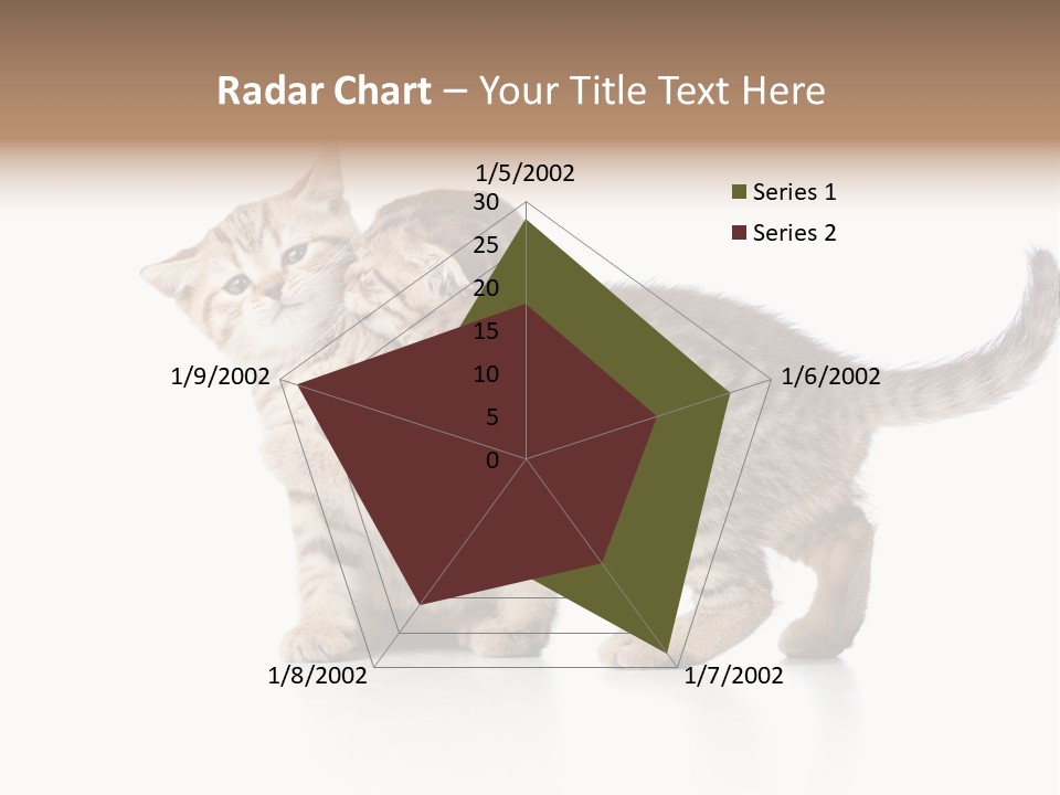 British Toddler Whiskers PowerPoint Template