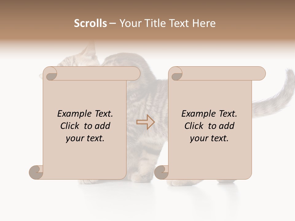 British Toddler Whiskers PowerPoint Template