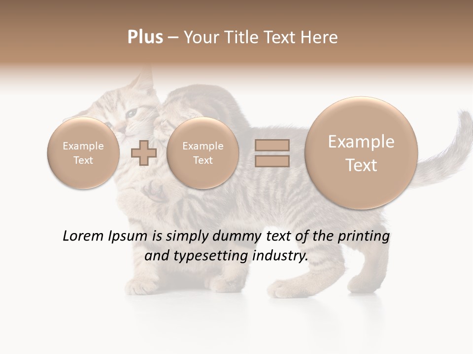 British Toddler Whiskers PowerPoint Template