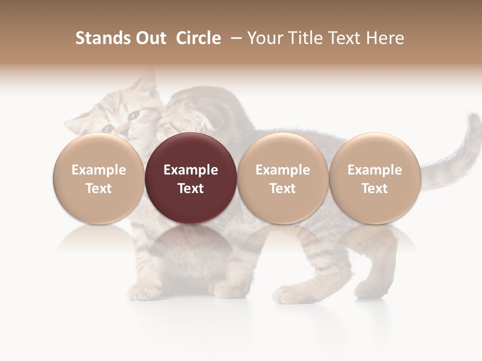 British Toddler Whiskers PowerPoint Template