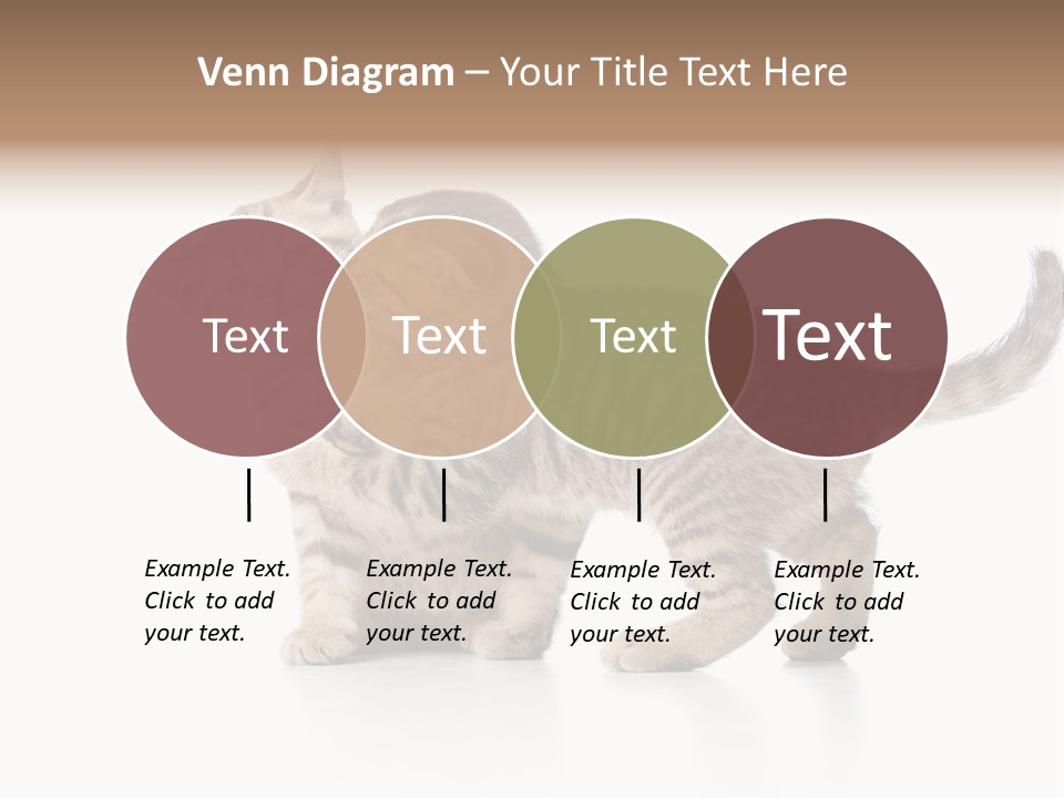 British Toddler Whiskers PowerPoint Template