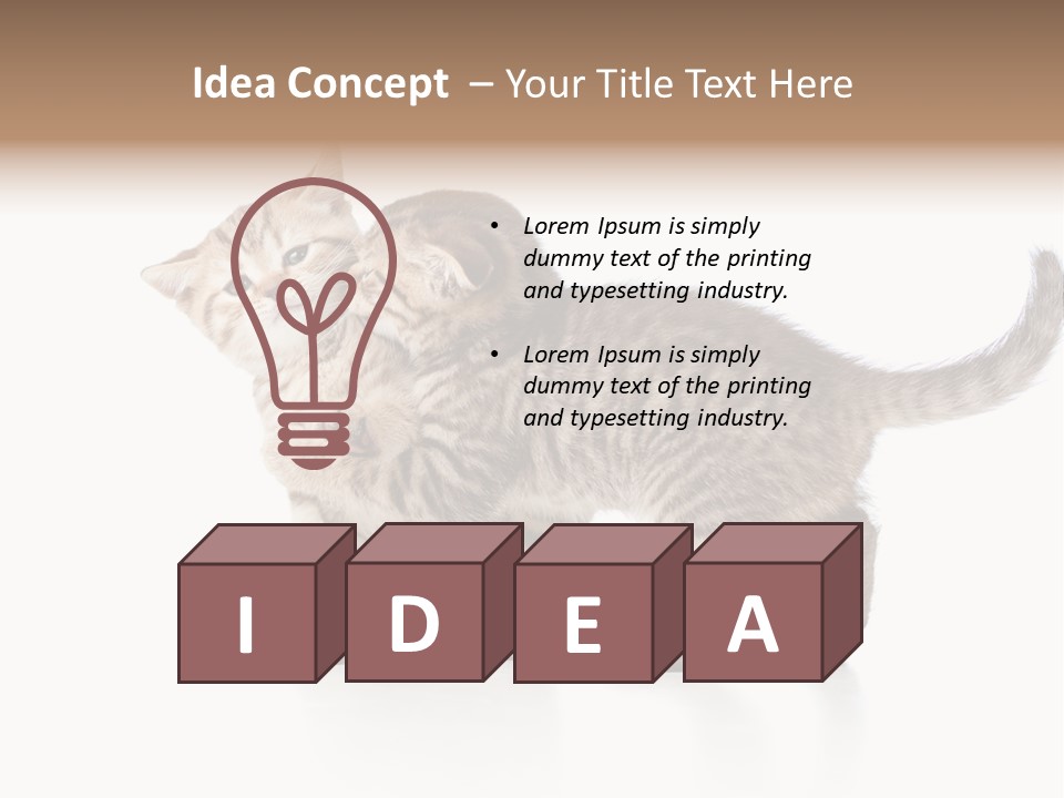 British Toddler Whiskers PowerPoint Template