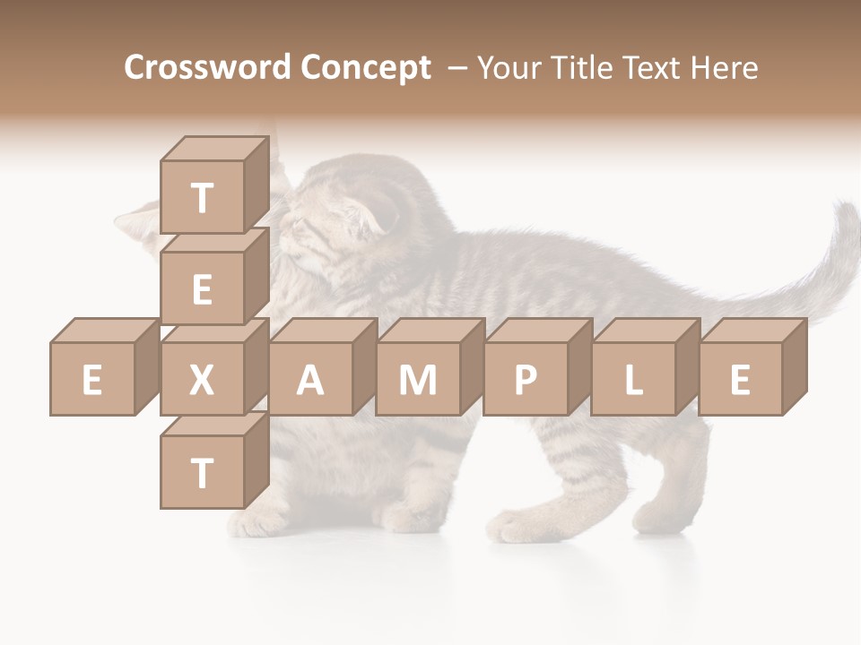 British Toddler Whiskers PowerPoint Template