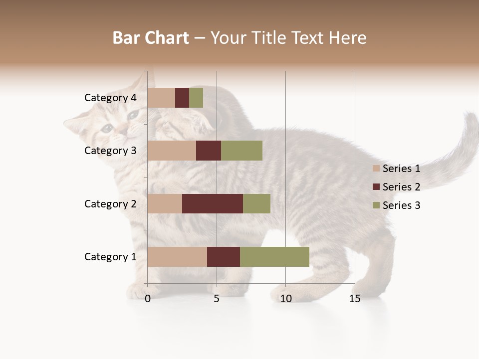 British Toddler Whiskers PowerPoint Template