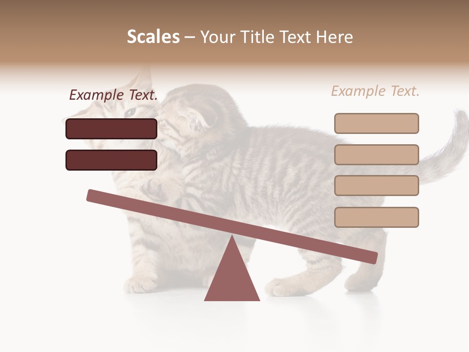 British Toddler Whiskers PowerPoint Template