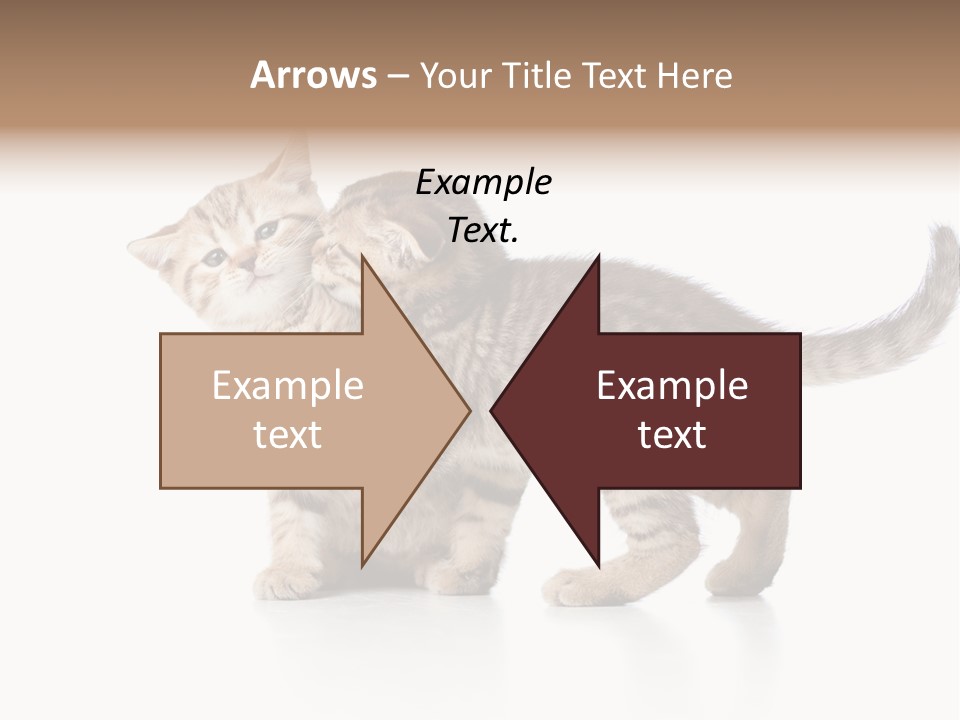 British Toddler Whiskers PowerPoint Template