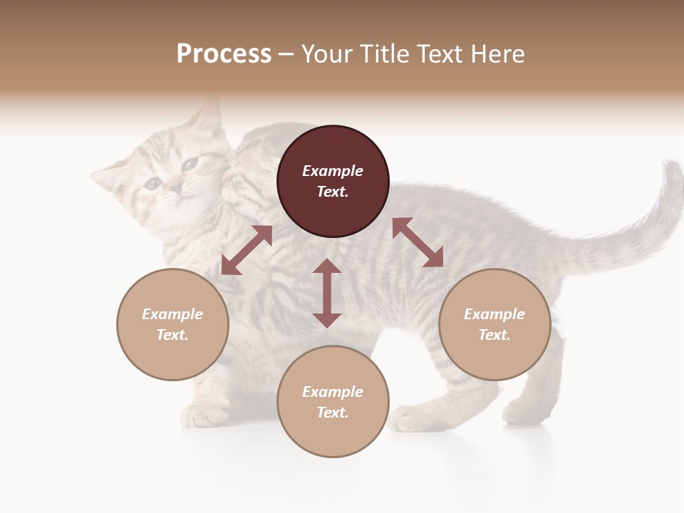 British Toddler Whiskers PowerPoint Template