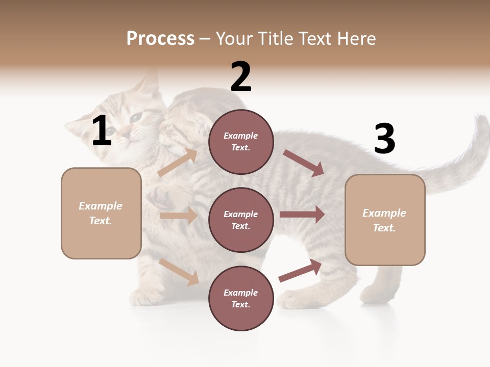 British Toddler Whiskers PowerPoint Template