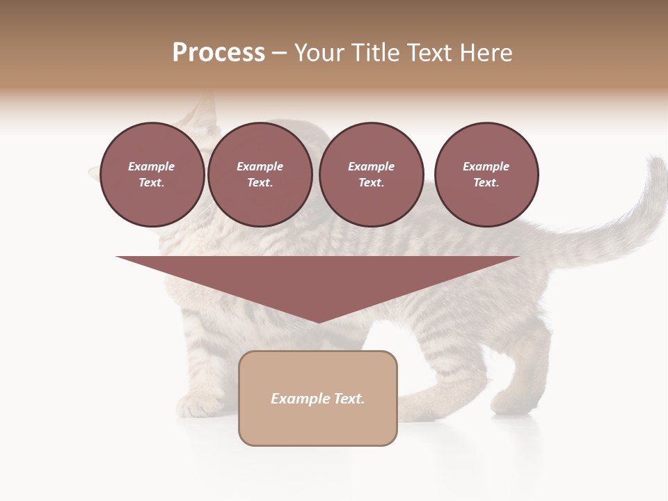 British Toddler Whiskers PowerPoint Template