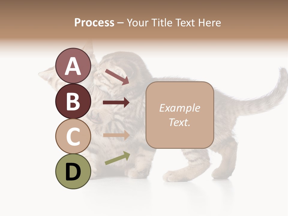 British Toddler Whiskers PowerPoint Template