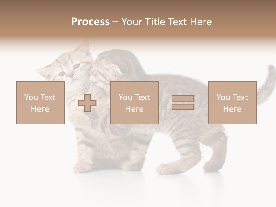 British Toddler Whiskers PowerPoint Template