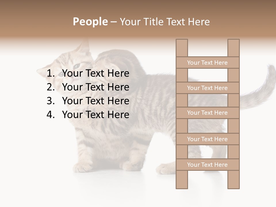 British Toddler Whiskers PowerPoint Template