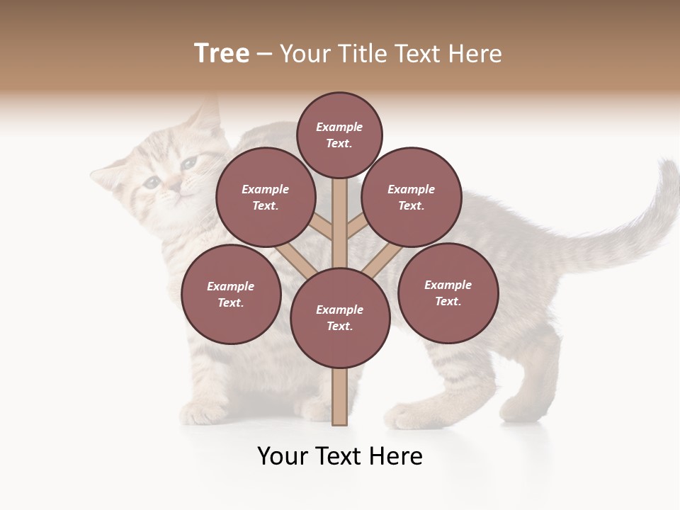 British Toddler Whiskers PowerPoint Template