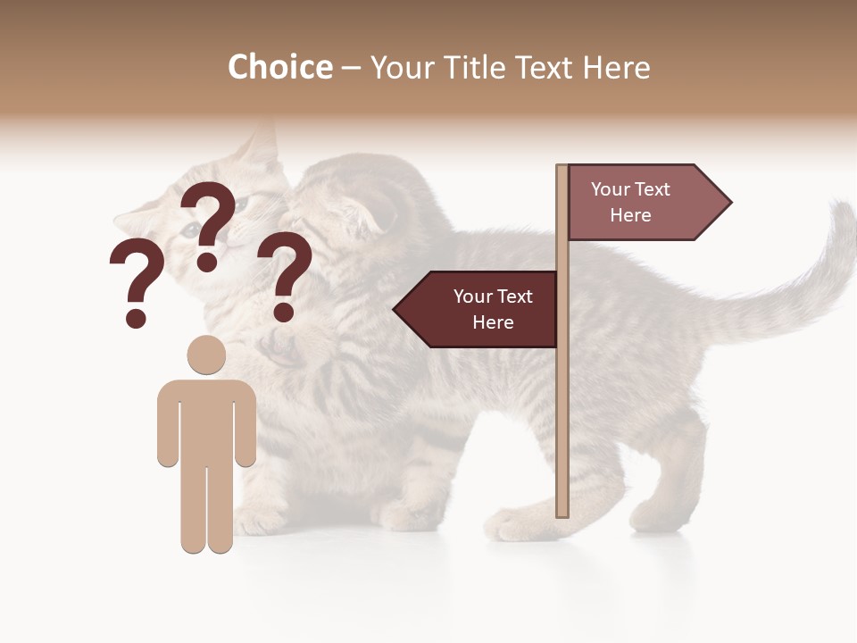 British Toddler Whiskers PowerPoint Template