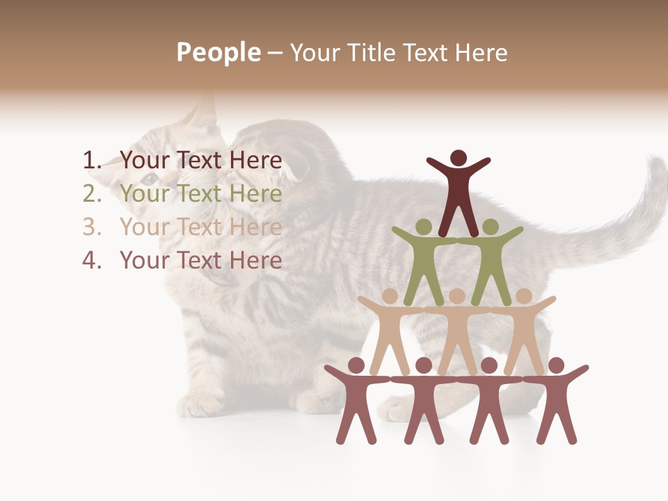 British Toddler Whiskers PowerPoint Template