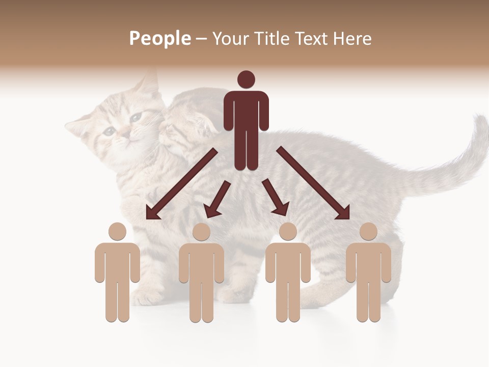 British Toddler Whiskers PowerPoint Template