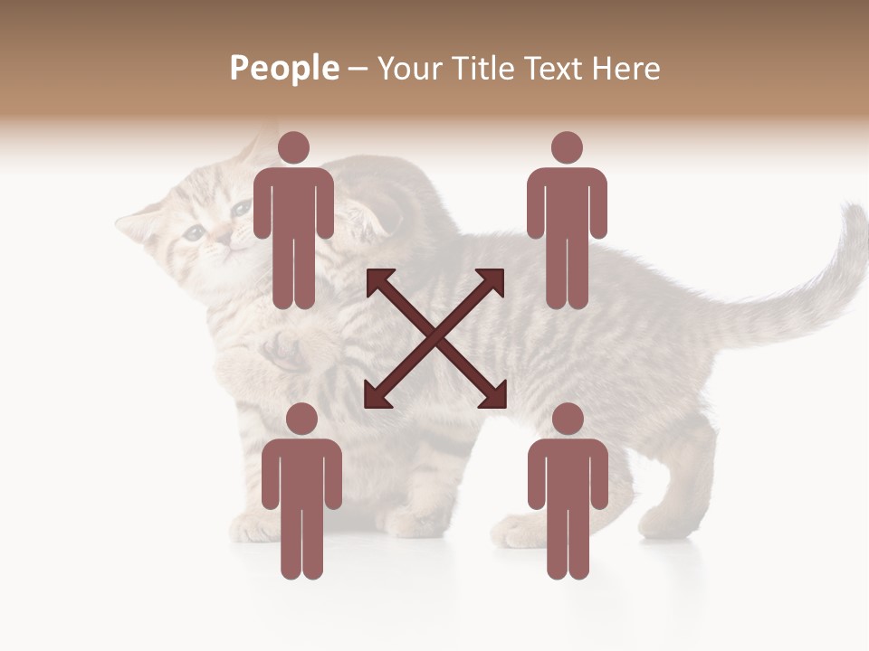 British Toddler Whiskers PowerPoint Template