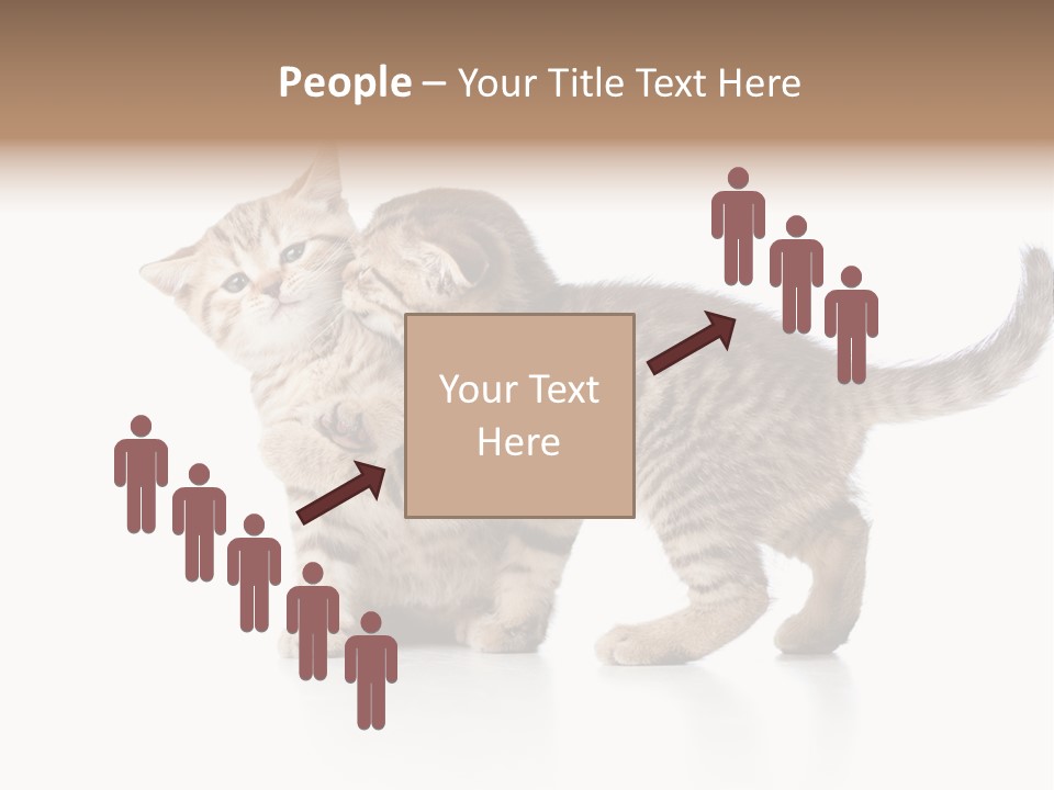 British Toddler Whiskers PowerPoint Template