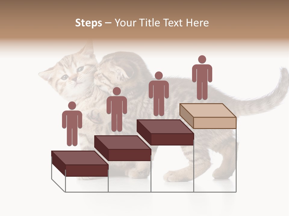 British Toddler Whiskers PowerPoint Template