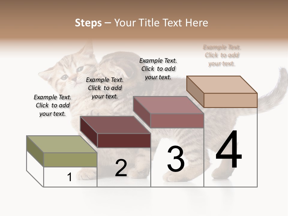 British Toddler Whiskers PowerPoint Template