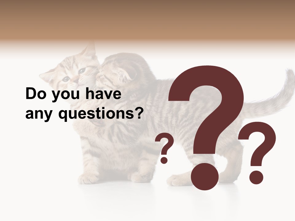 British Toddler Whiskers PowerPoint Template