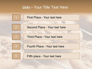 Brown Chip Pile PowerPoint Template