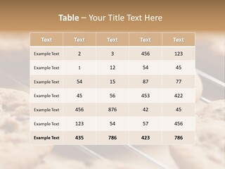 Brown Chip Pile PowerPoint Template