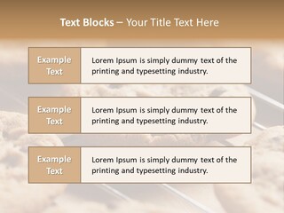 Brown Chip Pile PowerPoint Template
