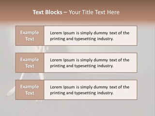 Lost Floor Shadow PowerPoint Template