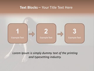 Lost Floor Shadow PowerPoint Template
