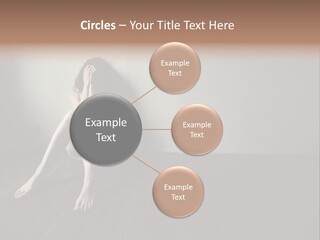 Lost Floor Shadow PowerPoint Template