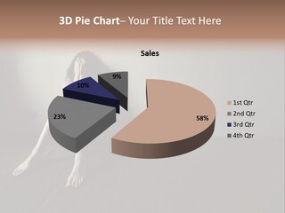 Lost Floor Shadow PowerPoint Template