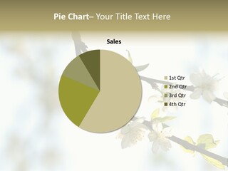 Park Wood Blossom PowerPoint Template