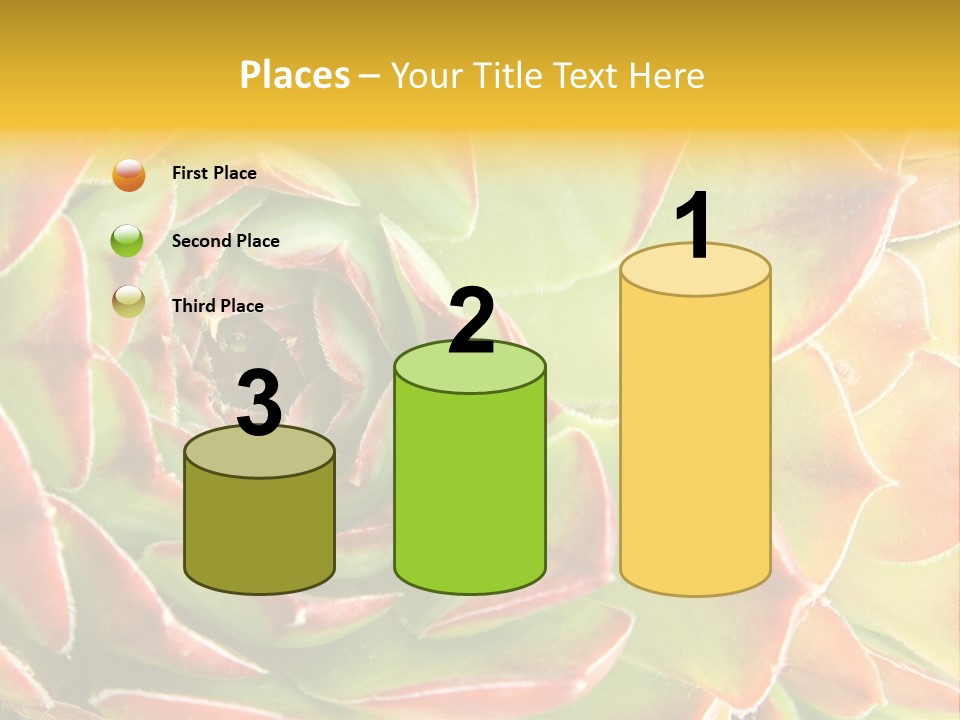 Cacti Cactus Ornamental PowerPoint Template