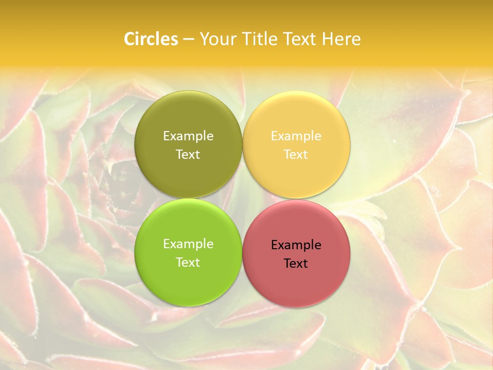 Cacti Cactus Ornamental PowerPoint Template