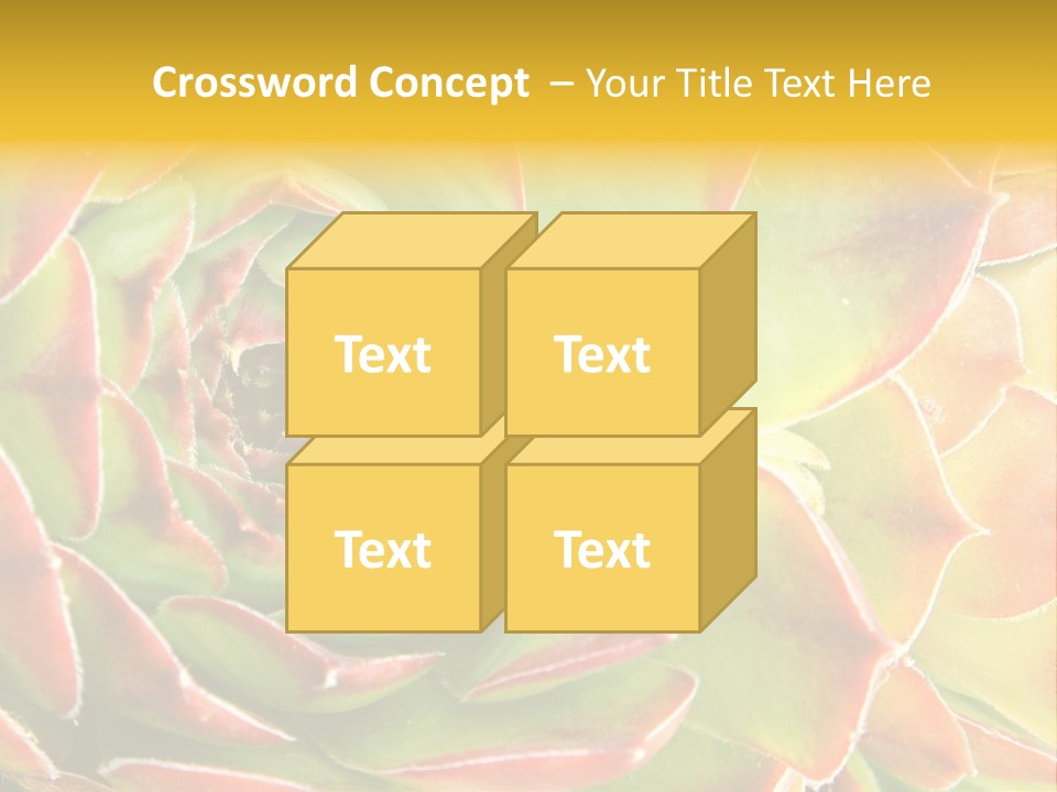 Cacti Cactus Ornamental PowerPoint Template