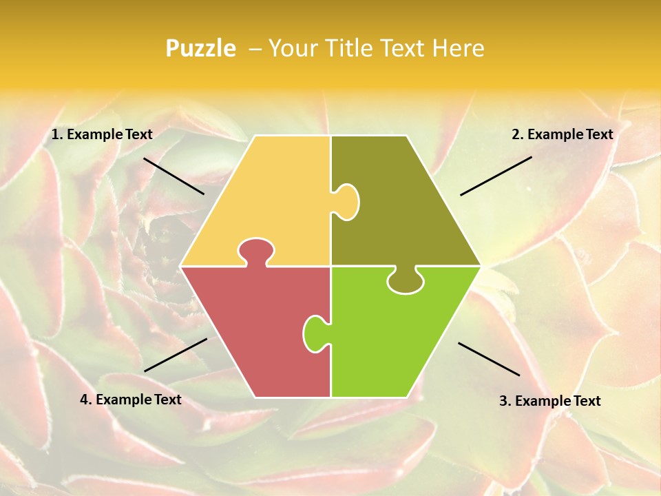 Cacti Cactus Ornamental PowerPoint Template