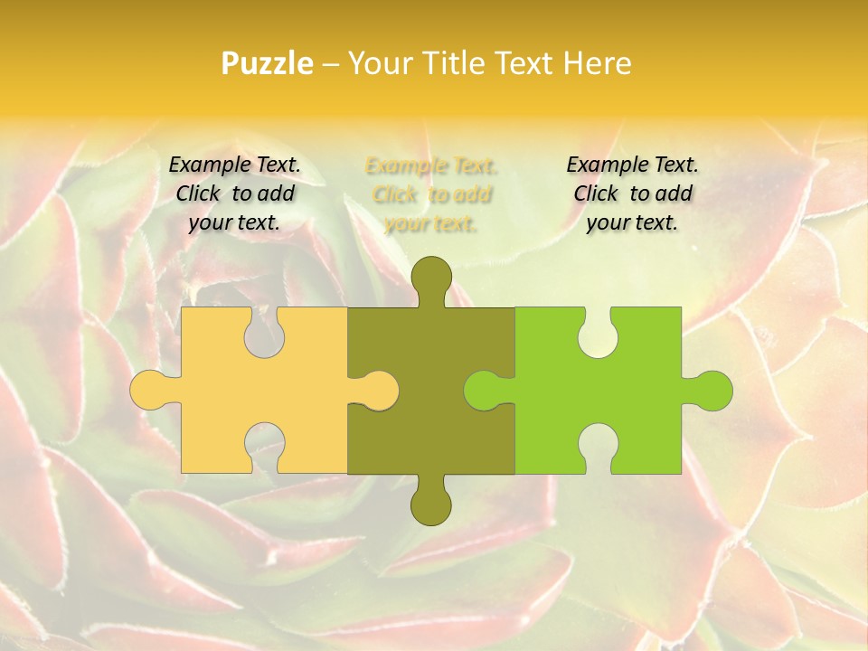 Cacti Cactus Ornamental PowerPoint Template