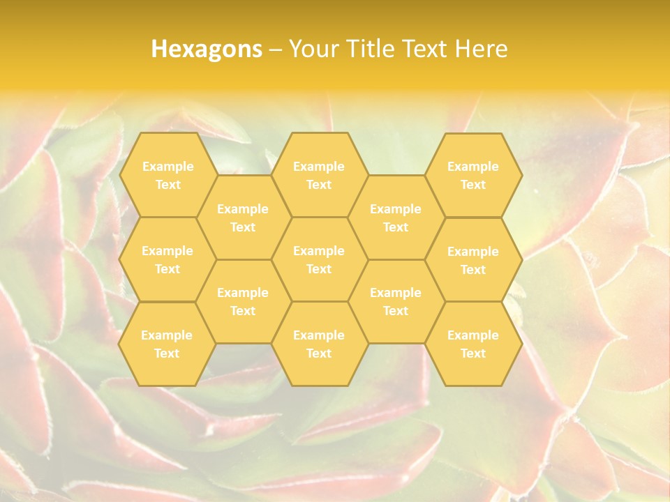 Cacti Cactus Ornamental PowerPoint Template