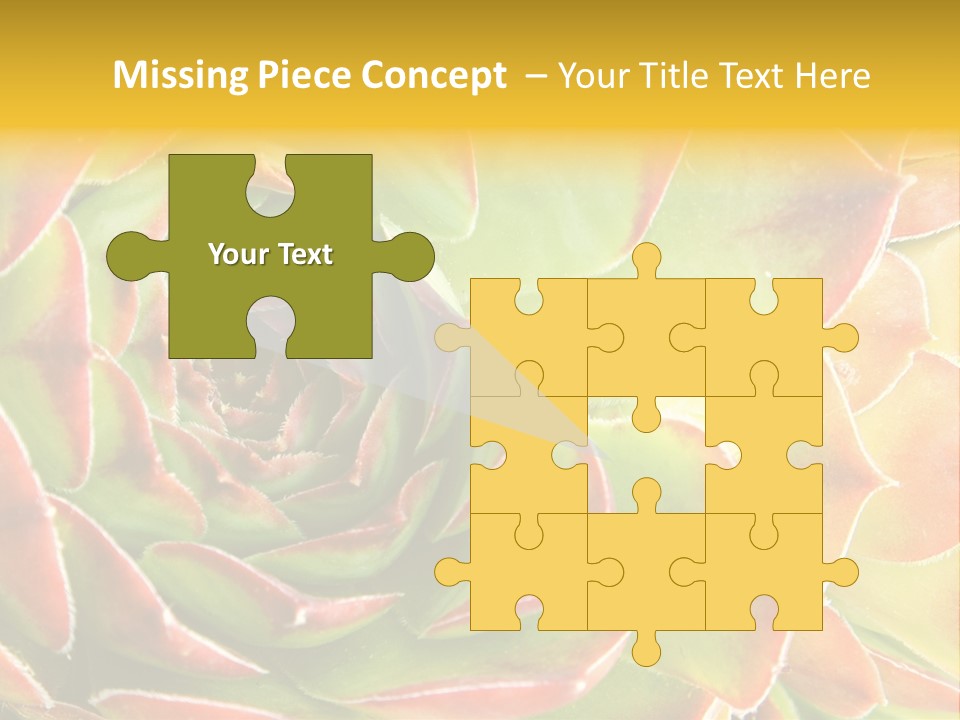 Cacti Cactus Ornamental PowerPoint Template