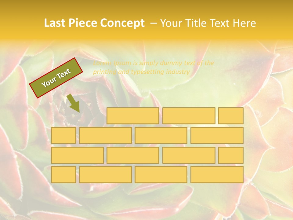 Cacti Cactus Ornamental PowerPoint Template