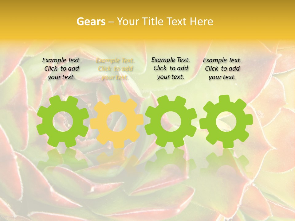 Cacti Cactus Ornamental PowerPoint Template